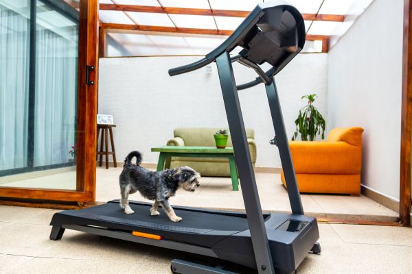 Treadmill Installation in Ooltewah