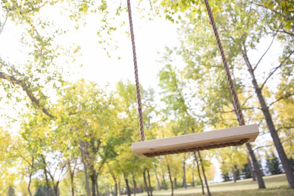 Tree Swing Installation in Ooltewah