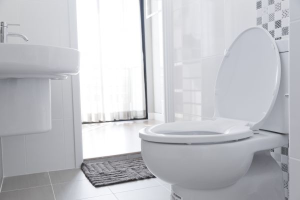 Toilet Seat Installation in Ooltewah
