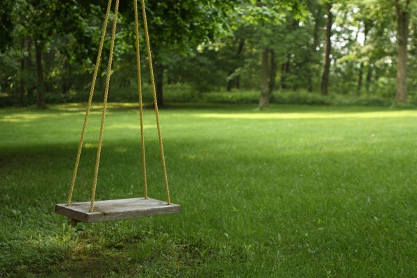 Rope Swing Installation in Ooltewah