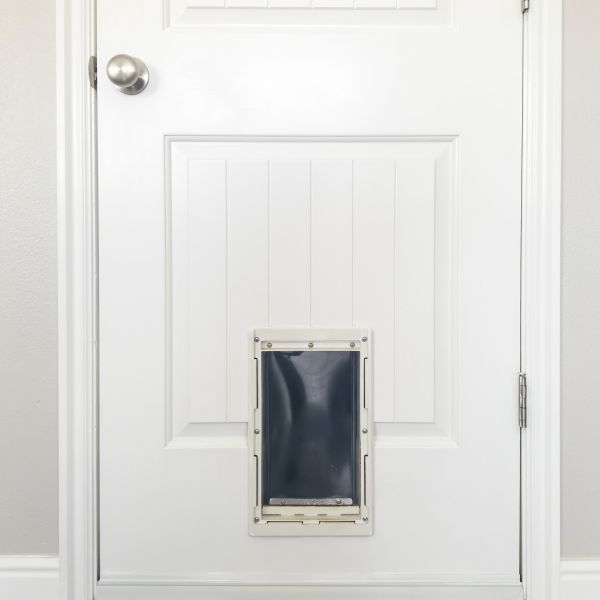 Pet Door Repair in Ooltewah