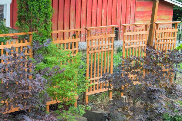 Wood Trellis Mounting in Ooltewah