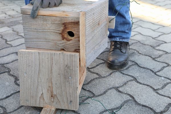Birdhouse Mounting in Ooltewah