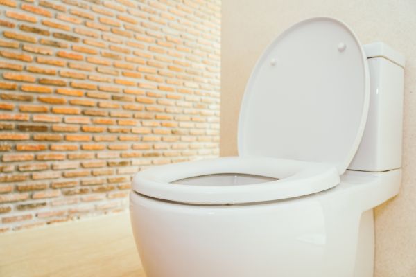 Toilet Seat Repair in Ooltewah